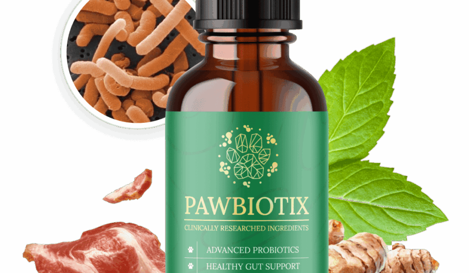 Pawbiotix Reviews 2026 – Dog Gut Health Supplement Really Work? Pawbiotix reviews